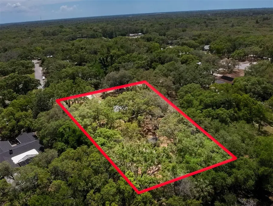 12615 Oak Tree Drive, Hudson, FL 34667 - #2