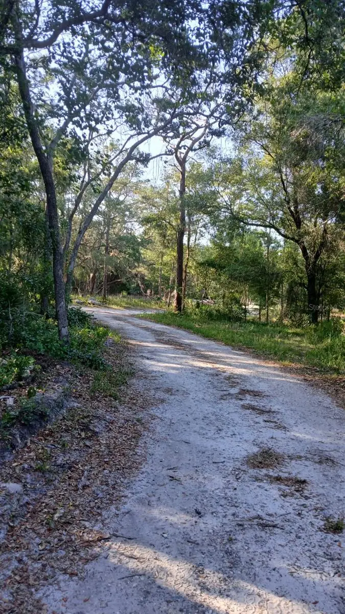 0 And Tbd, Webster, FL 33597 - #2