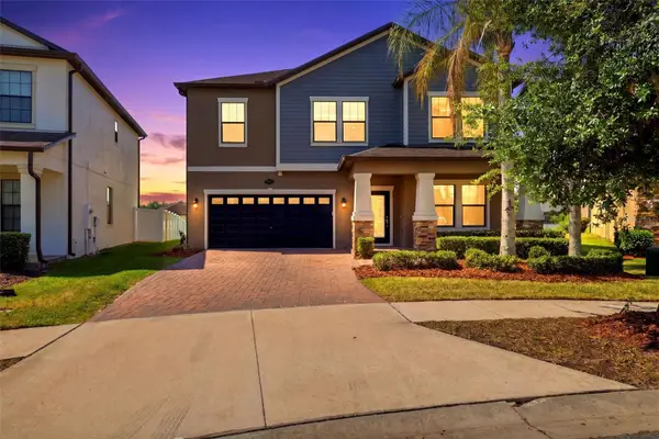 19419 Paddock View Drive, TAMPA, FL 33647