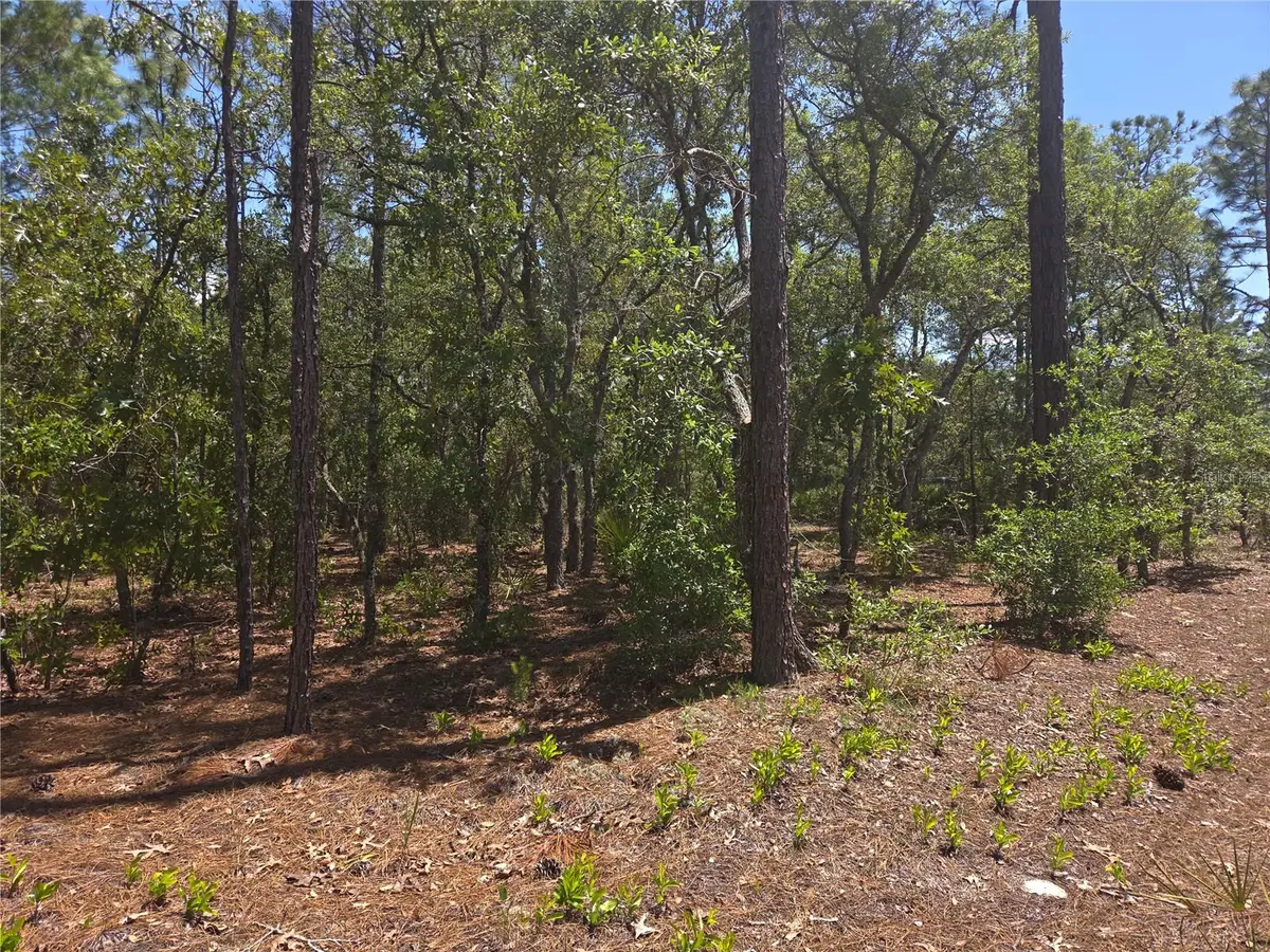 4231 W Bonanza Drive, Beverly Hills, FL 34465 - #1