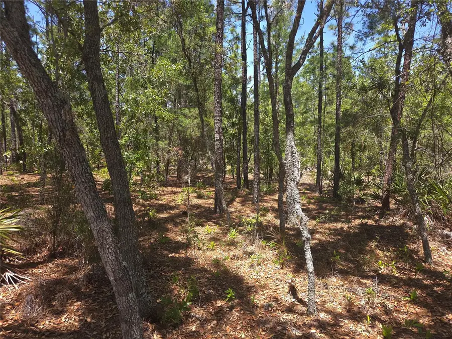 4231 W Bonanza Drive, Beverly Hills, FL 34465 - #3