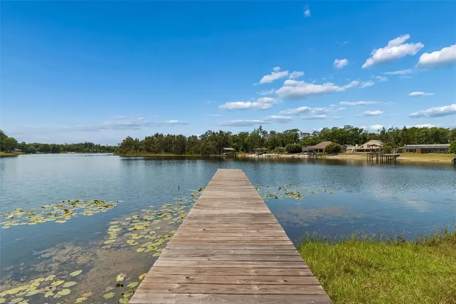17129 Rainbow Terrace, Odessa, FL 33556 - #2