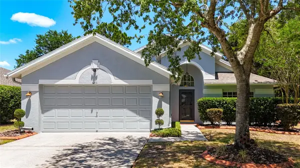 6711 Somerset Garden Way, APOLLO BEACH, FL 33572