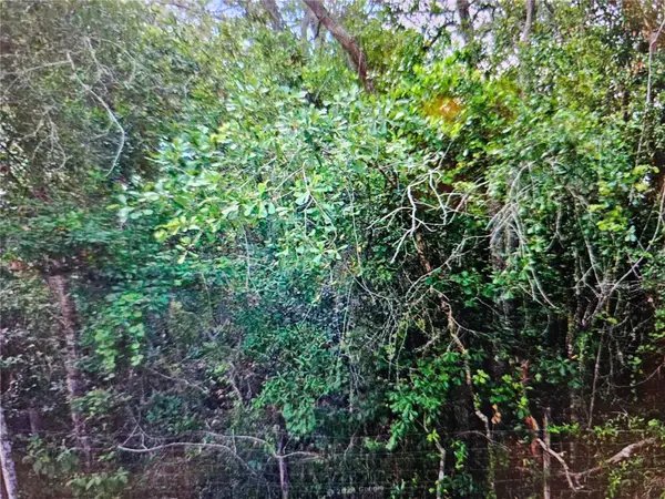 0 Lisbon Street, NEW PORT RICHEY, FL 34654