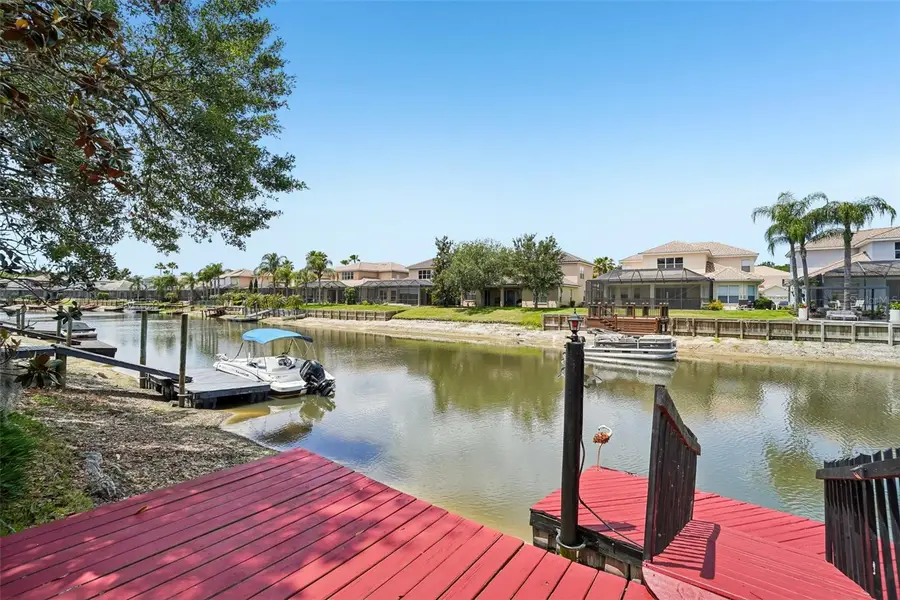 18032 Malakai Isle Drive, Tampa, FL 33647 - #2