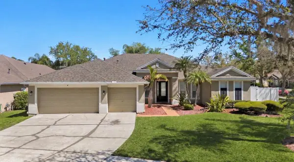 19328 Autumn Woods Avenue, TAMPA, FL 33647
