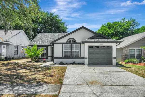 11333 Maybrook Avenue, RIVERVIEW, FL 33569