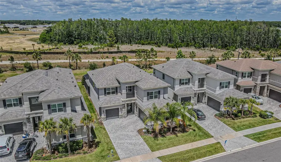 32353 Rosewood Meadow Lane, Wesley Chapel, FL 33543 - #2