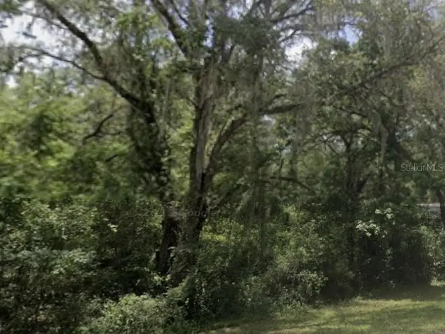 Lake Lindsey Road, Nobleton, FL 34661 - #2