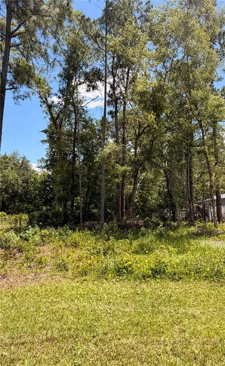 6327 Fig Avenue, Webster, FL 33597 - #1
