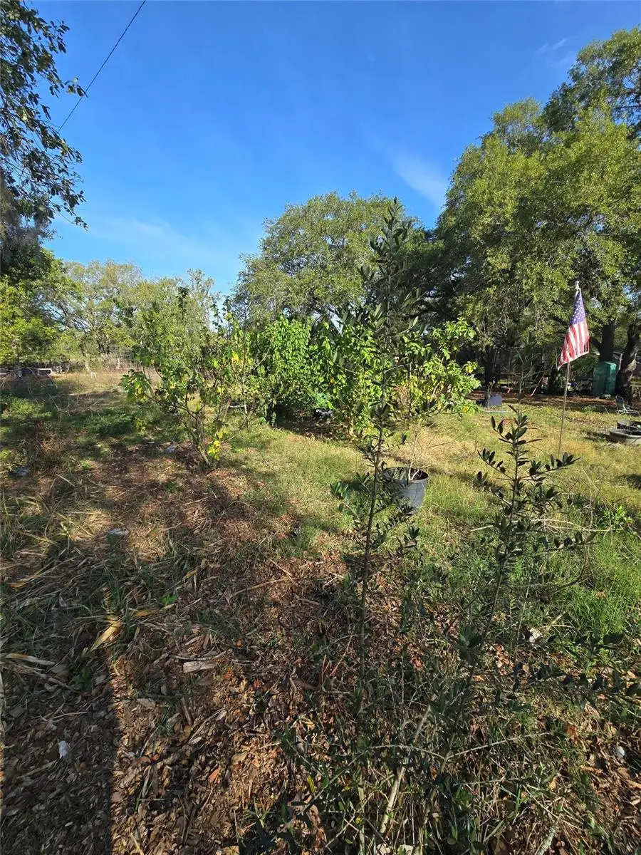 14515 Giddyup Lane, Hudson, FL 34669 - #2