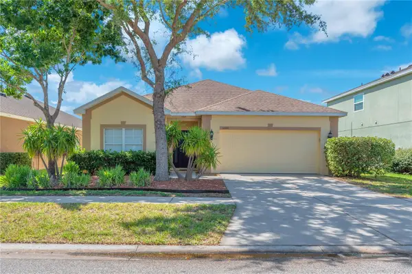 10109 Celtic Ash Drive, RUSKIN, FL 33573