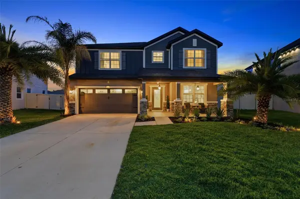31015 Parrot Reef Court, WESLEY CHAPEL, FL 33545
