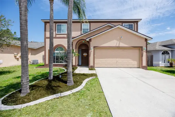 11216 Scotchwood Drive, RIVERVIEW, FL 33579