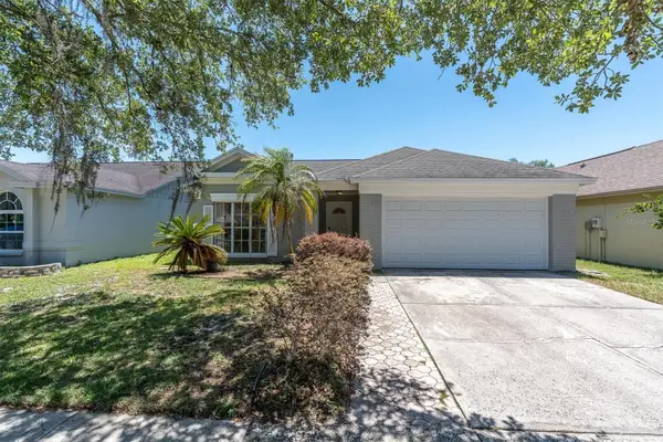 9735 Cypress Shadow Avenue, TAMPA, FL 33647