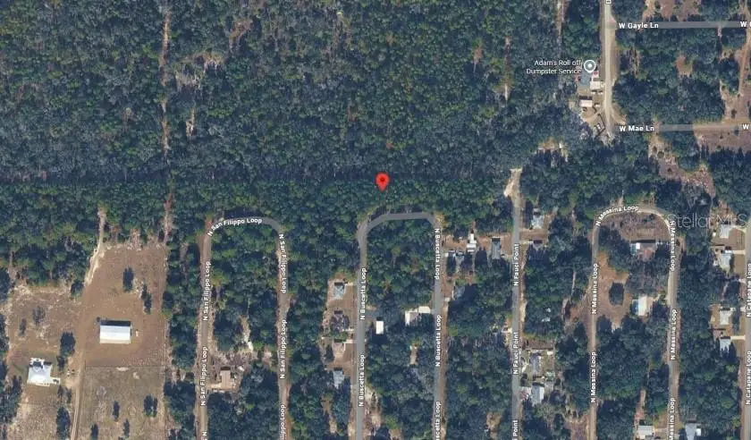 8754 N Buscetta Loop, Crystal River, FL 34428 - #3