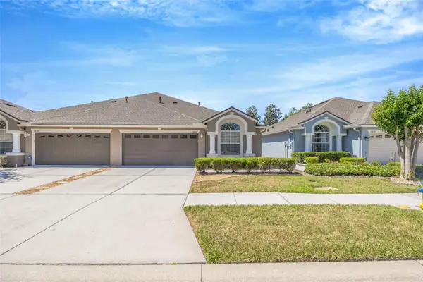 31814 Larkenheath Drive, WESLEY CHAPEL, FL 33543