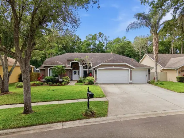 10602 Chambers Drive, TAMPA, FL 33626