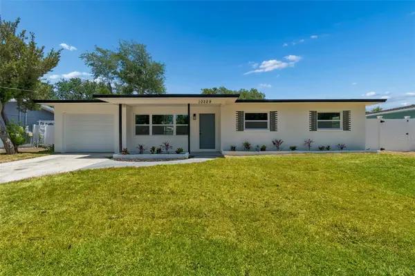 10229 N Valle Drive, TAMPA, FL 33612