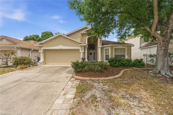 3324 Manor Cove Circle, RIVERVIEW, FL 33578