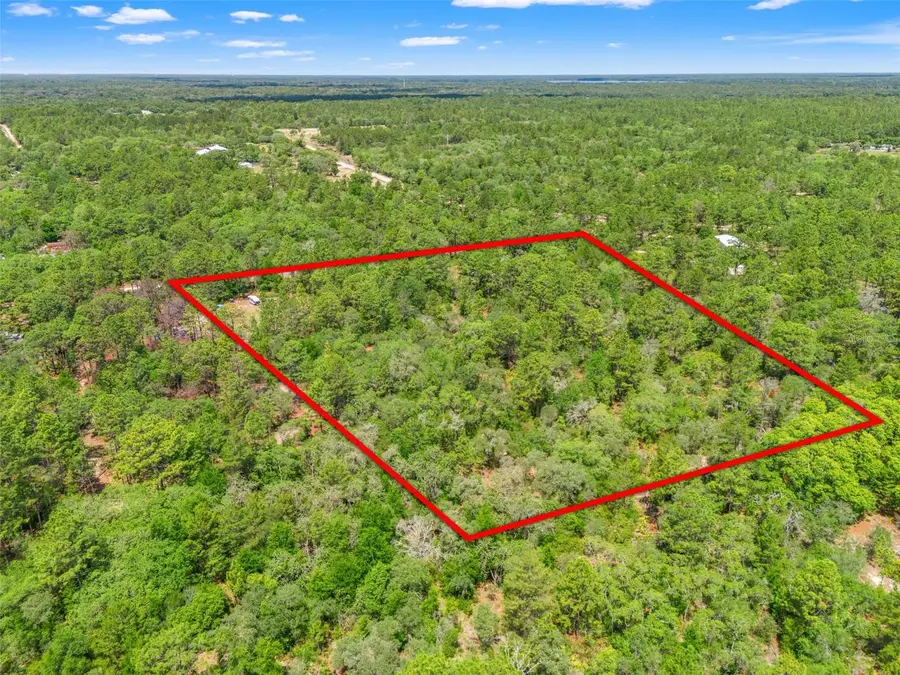 9031 N Manila Terrace, Dunnellon, FL 34433 - #3