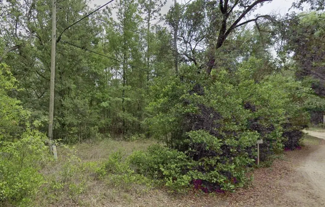 10013 N Holyoak Terrace, Dunnellon, FL 34433 - #1