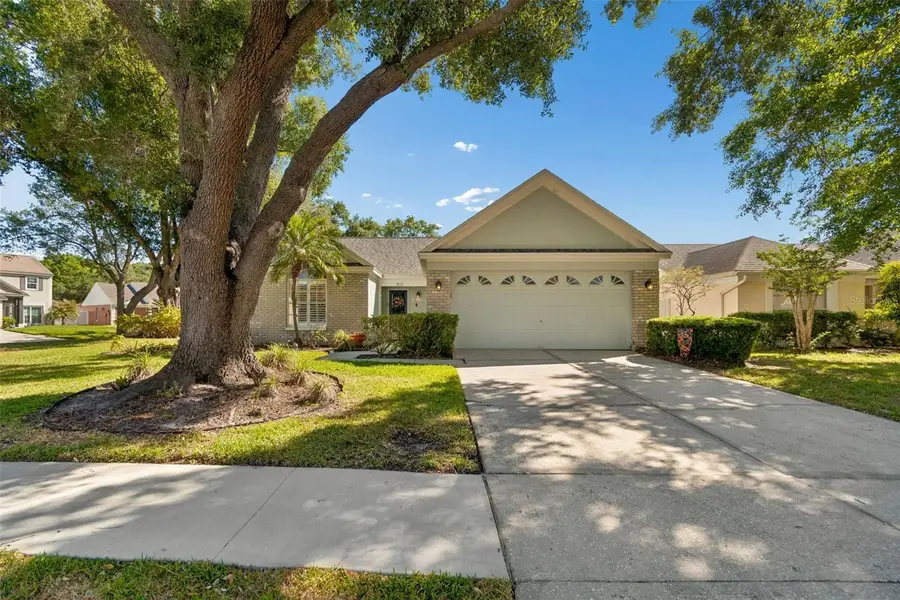 9702 Little Pond Way, Tampa, FL 33647 - #3