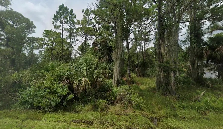 14116 Cain Avenue, Port Charlotte, FL 33953 - #3