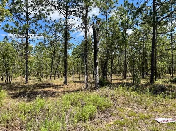 NW Amberjack, Lot #33, DUNNELLON, FL 34431