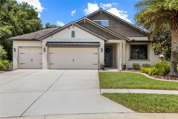 8538 May Port Court, LAND O LAKES, FL 34638