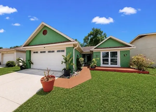 1125 Hardwood Drive, VALRICO, FL 33596
