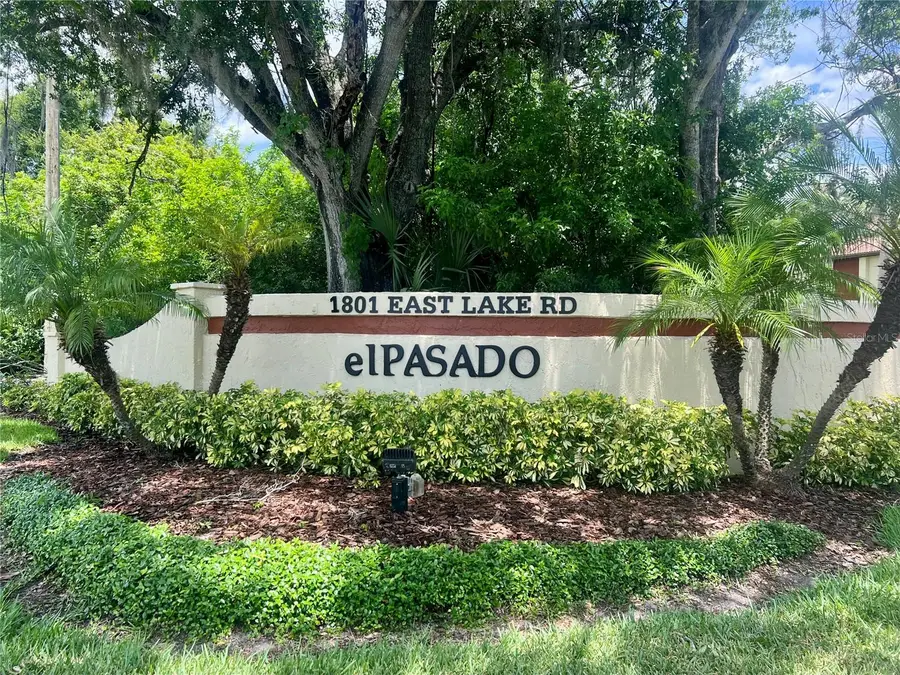 1801 E Lake Road #17C, Palm Harbor, FL 34685 - #2