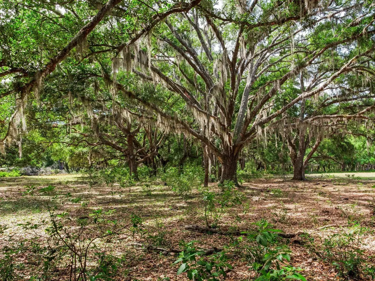 Address Withheld By Seller, Thonotosassa, FL 33592 - #1