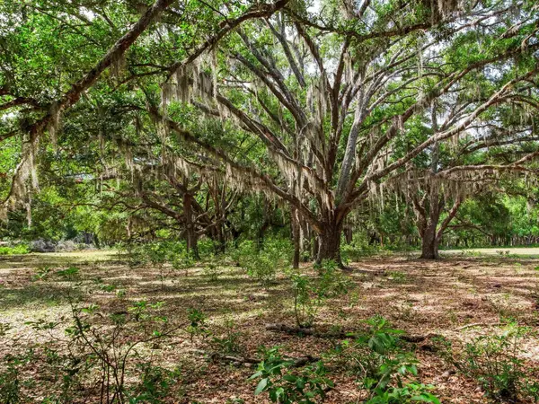 Address Withheld By Seller, THONOTOSASSA, FL 33592