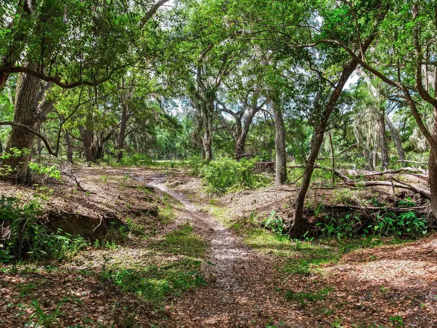 Address Withheld By Seller, Thonotosassa, FL 33592 - #3