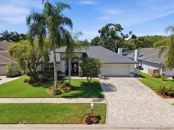 6512 Steeplechase Drive, TAMPA, FL 33625