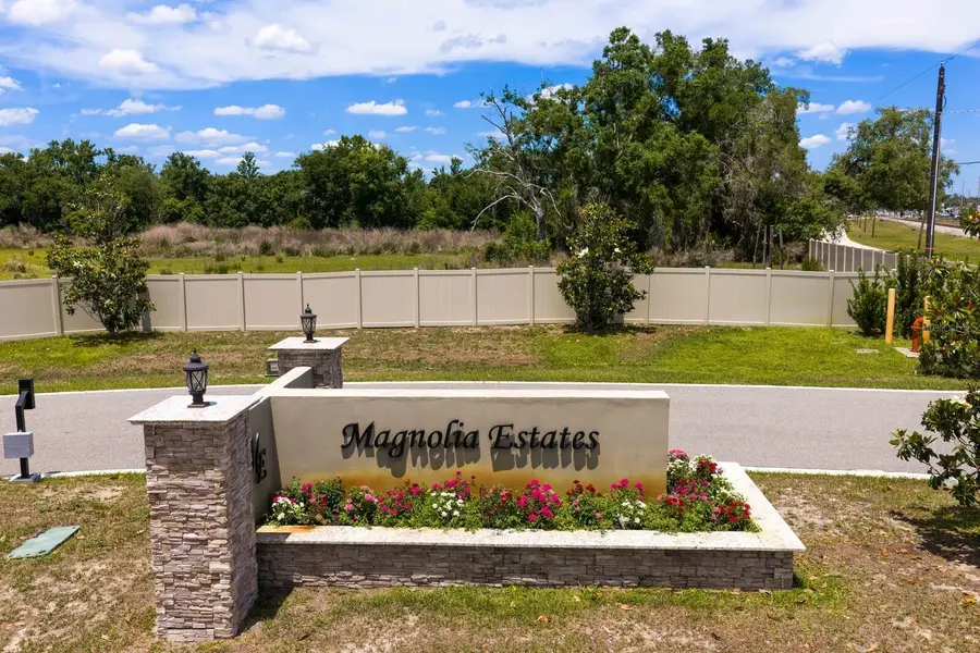 297 Magnolia Acres Court, Lutz, FL 33548 - #2