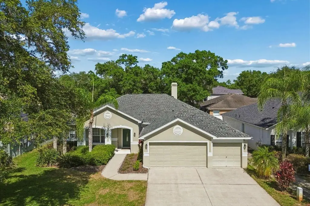 15217 Octavia Lane, Odessa, FL 33556 - #1