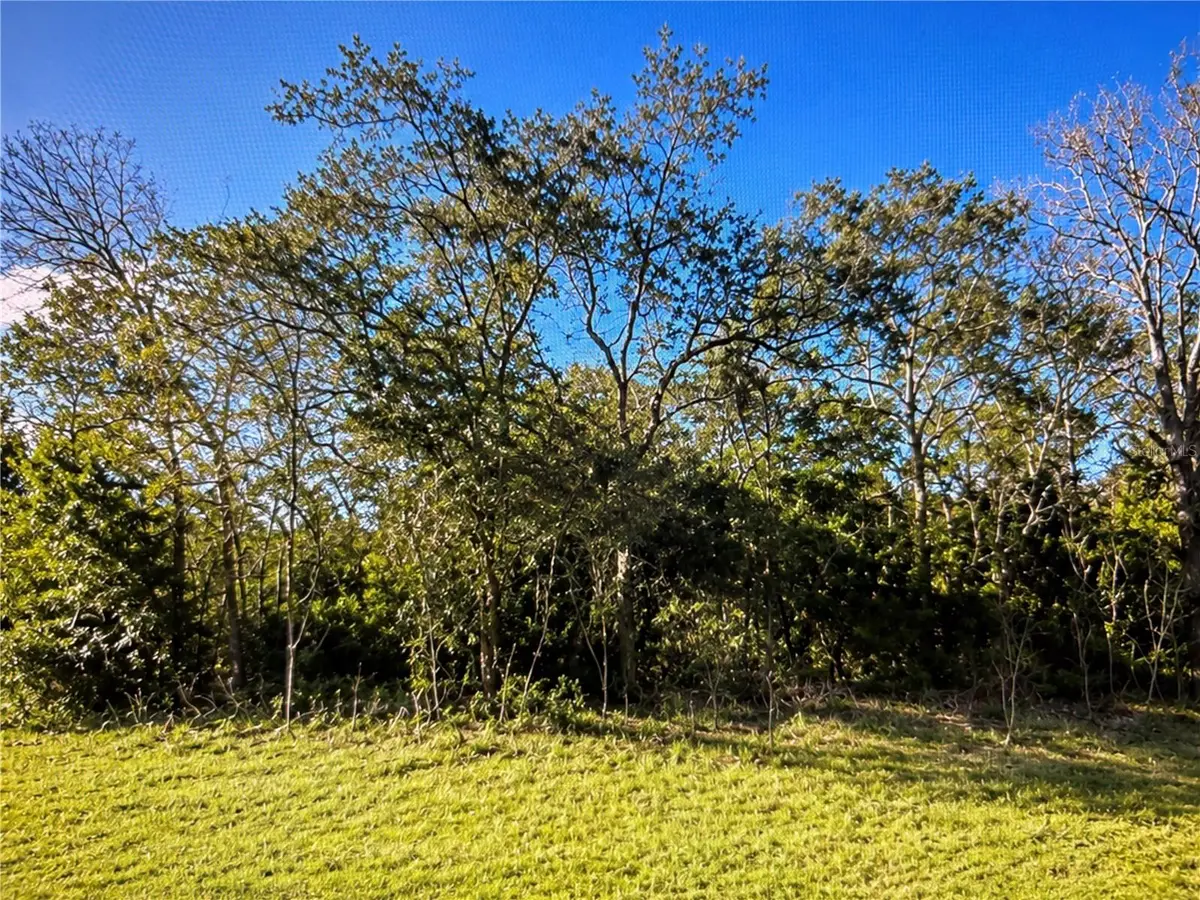 143 Place, Ocala, FL 34473 - #1