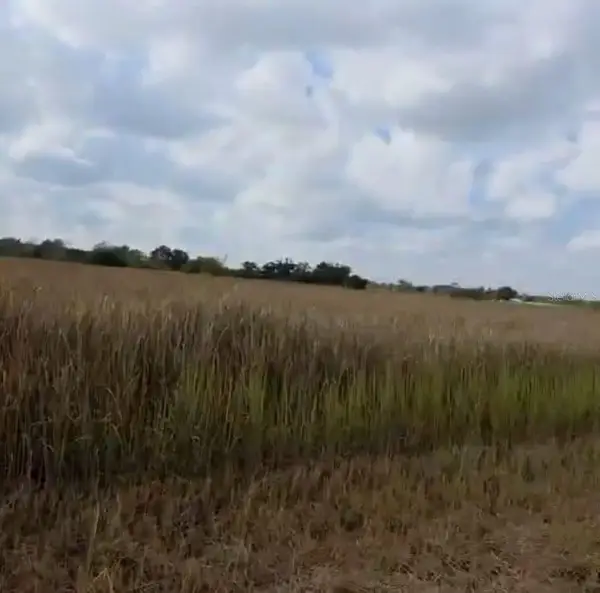 Metheny Rd, Parcel C, WAUCHULA, FL 33873