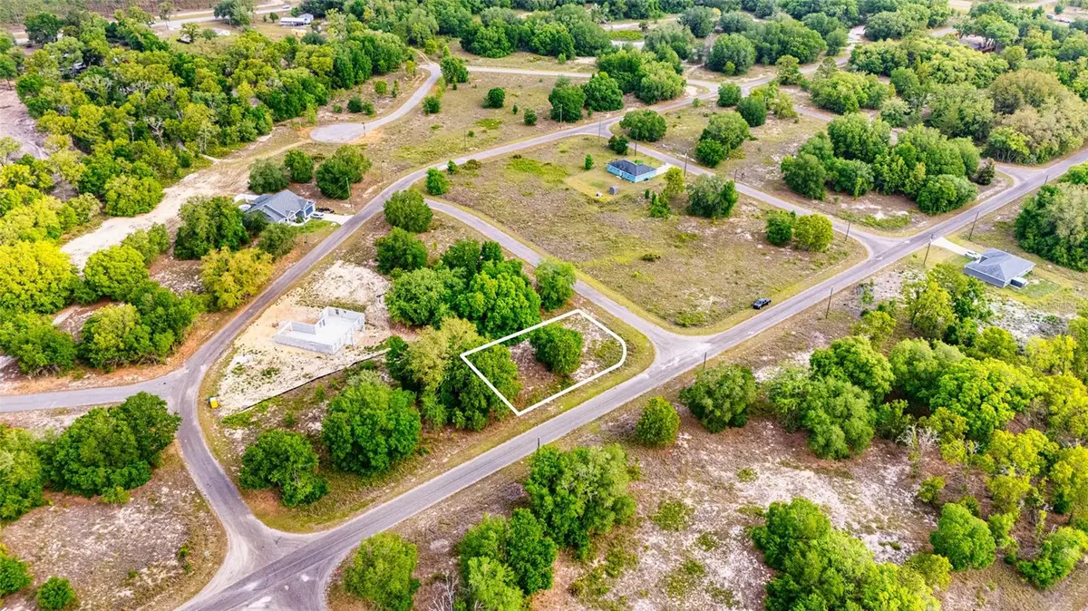 Guava Track, Ocklawaha, FL 32179 - #1
