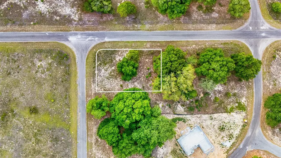 Guava Track, Ocklawaha, FL 32179 - #3