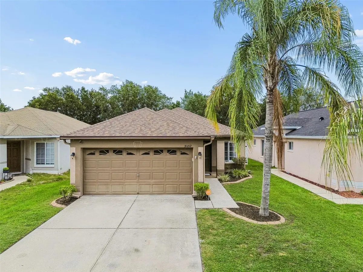 31217 Tagus Loop, Wesley Chapel, FL 33545 - #1