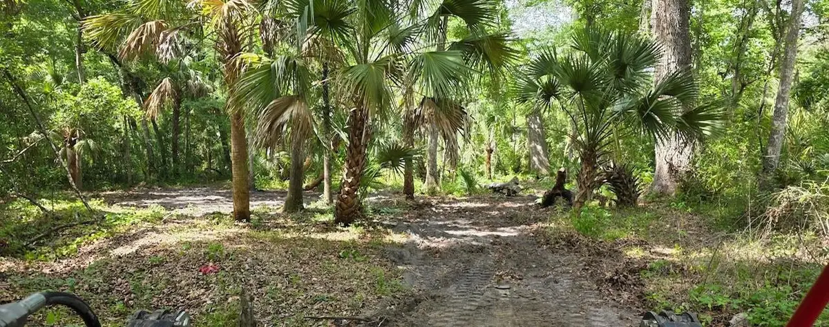0 Paul S Buchman Highway, Zephyrhills, FL 33540 - #1