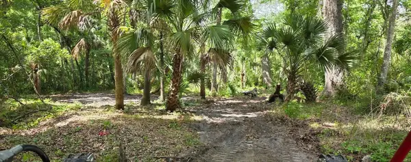 0 Paul S Buchman Highway, ZEPHYRHILLS, FL 33540