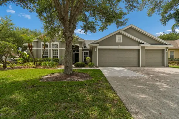 10243 Shadow Branch Drive, TAMPA, FL 33647