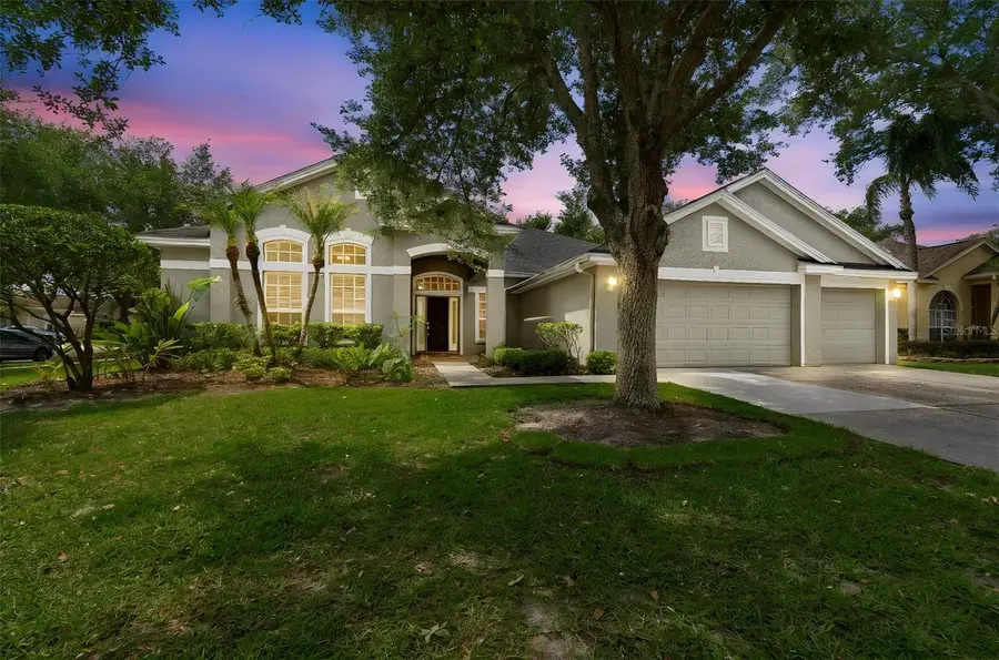 10243 Shadow Branch Drive, Tampa, FL 33647 - #2
