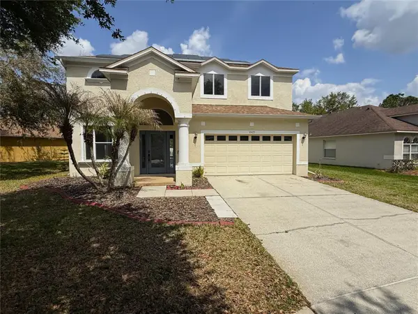 10427 Lucaya Drive, TAMPA, FL 33647