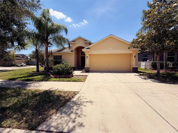 13181 Royal Pines Avenue, RIVERVIEW, FL 33579