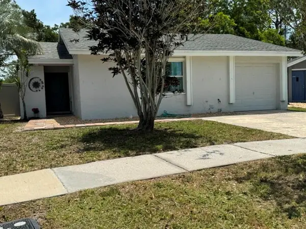 10617 Fairfield Village Drive, TAMPA, FL 33624